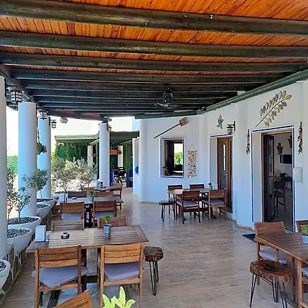 Hotel Eden 2*